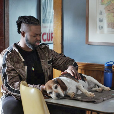 Pearl; famous dog in movie, Spencer Confidential