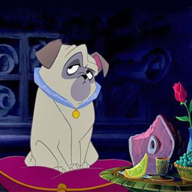 Percy; famous dog in movie, Pocahontas
