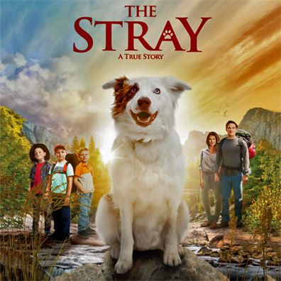 Pluto; famous dog in movie, The Stray