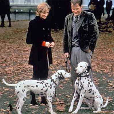 Pongo and Perdy; famous dog in movie, 101 Dalmatians