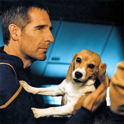 Porthos; famous dog in TV, Star Trek Enterprise