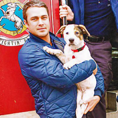 Pouch; famous dog in TV, Chicago Fire