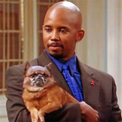 Rags; famous dog in TV, Spin City