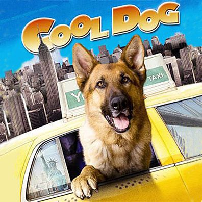 Rainy; famous dog in movie, Cool Dog