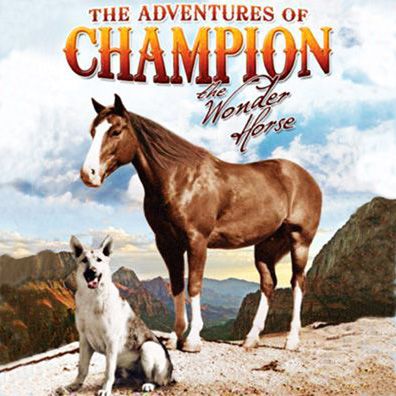 Rebel; famous dog in TV, The Adventures of Champion