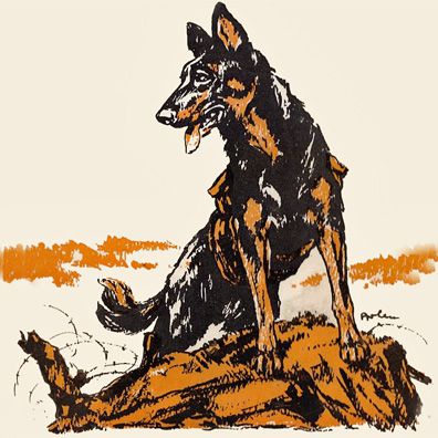Renni; famous dog in book, Renni der Retter: Das Leben eines Kriegshundes