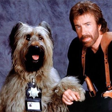 Reno; famous dog in movie, Top Dog