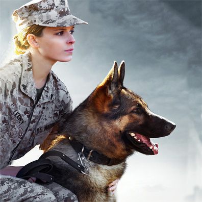 Rex; famous dog in movie, Megan Leavey