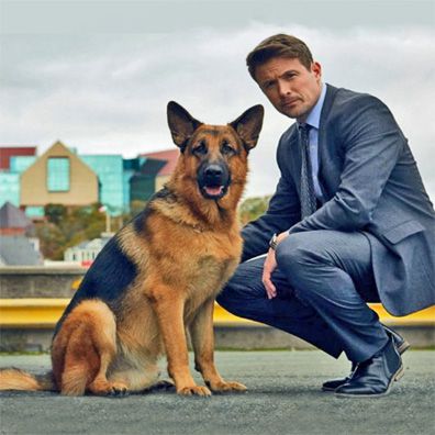 Famous Dogs on TV or in Television, with Images