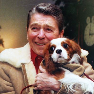 Rex; famous dog in President Ronald Reagan
