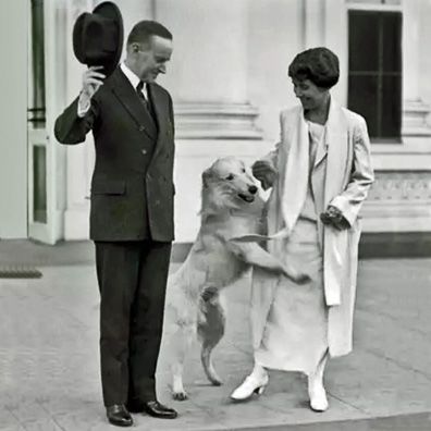 Rob Roy; famous dog in President Calvin Coolidge