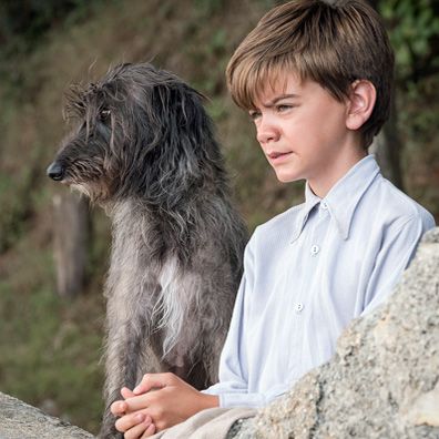 Roger; famous dog in book, TV, The Durrells 