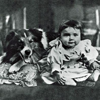 Rover; famous dog in movie, Rescued by Rover