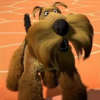 Rufus; famous dog in movie, Open Season 2
