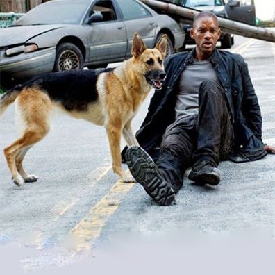 Samantha; famous dog in movie, book, I am Legend