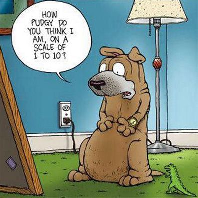 Satchel; famous dog in comics, Get Fuzzy