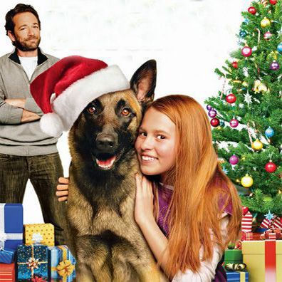 Scoot; famous dog in movie, Scoot & Kassie's Christmas Adventure
