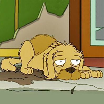 Seymour; famous dog in TV, Futurama
