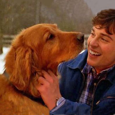 Shelby; famous dog in TV, Smallville