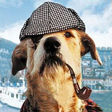 Sherlock; famous dog in movie, Sherlock: Undercover Dog