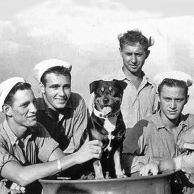 Sinbad; famous dog in book, U.S. Coast Guard