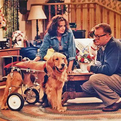 Speedy; famous dog in TV, The Drew Carey Show