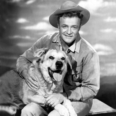 Brown; famous dog in TV, The Westerner
