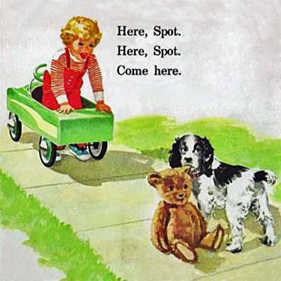 Spot; famous dog in book, Dick and Jane