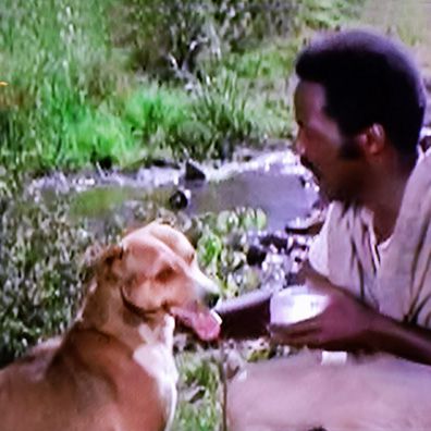 Spot; famous dog in movie, Shaft in Africa