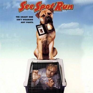 Spot; famous dog in movie, See Spot Run
