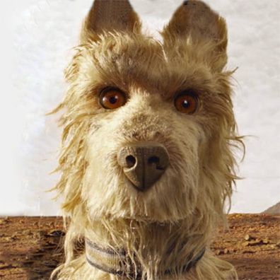 Spots; famous dog in movie, Isle of Dogs
