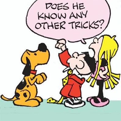 Stripe; famous dog in comics, Tiger