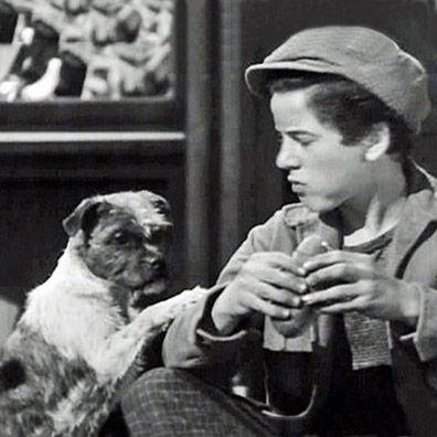 Sucker; famous dog in movie, They Shall Have Music