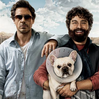 Sunny; famous dog in movie, Due Date