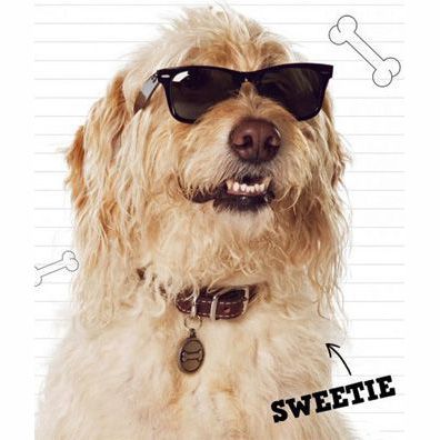 Sweetie; famous dog in movie, book, Diary of a Wimpy Kid: Dog Days