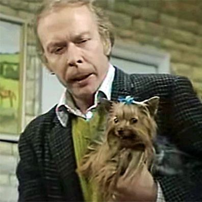 Truffles; famous dog in TV, George & Mildred
