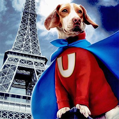 Underdog; famous dog in movie, Underdog