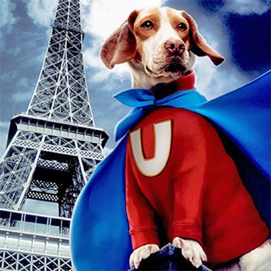 famous dog Underdog