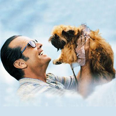 Verdell; famous dog in movie, As good As It Gets