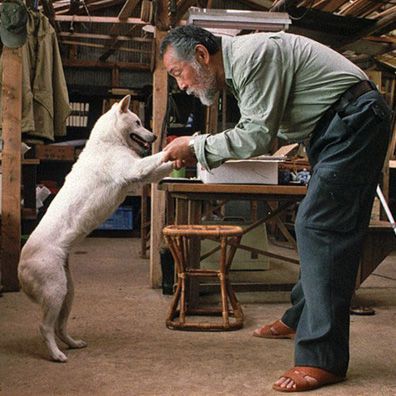 White Dog; famous dog in movie, book, To Dance with the White Dog