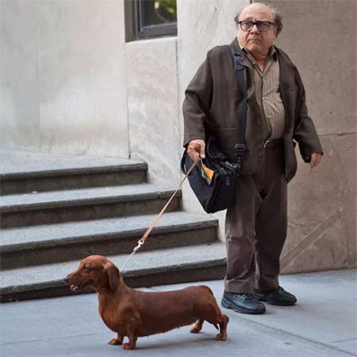 Wiener-Dog; famous dog in movie, Wiener-Dog