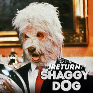 Wilby Daniels; famous dog in movie, TV, The Return of the Shaggy Dog