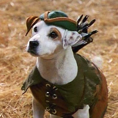 Wishbone; famous dog in TV, Wishbone