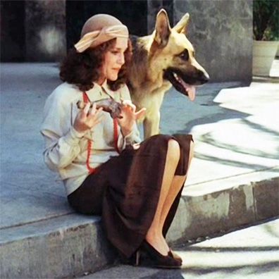 Won Ton Ton; famous dog in movie, Won Ton Ton - The Dog Who Saved Hollywood