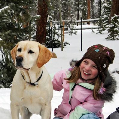 Zeus; famous dog in movie, The Dog Who Saved Christmas