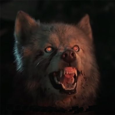 Zowie; famous dog in movie, Pet Sematary