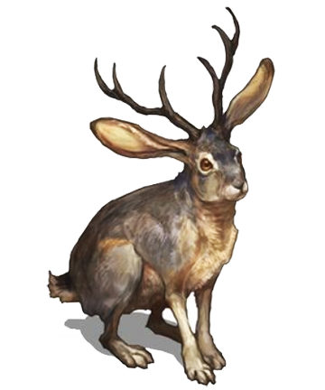 jackalope