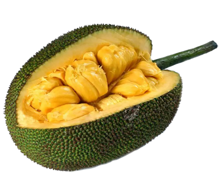 jackfruit