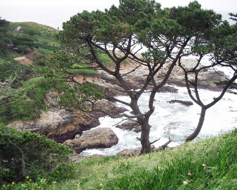 free photos, Big Sur