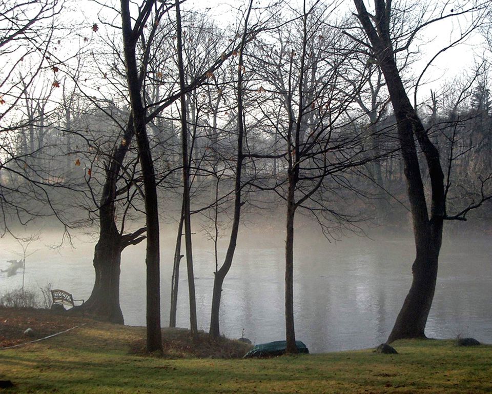 free photos, Misty river